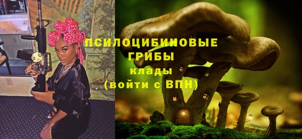 бутират Нягань