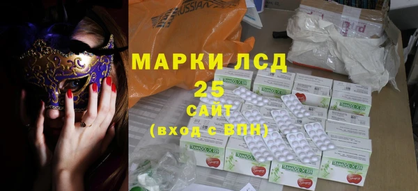 стаф Тында