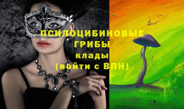 бутират Нягань