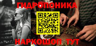 скорость Гусев