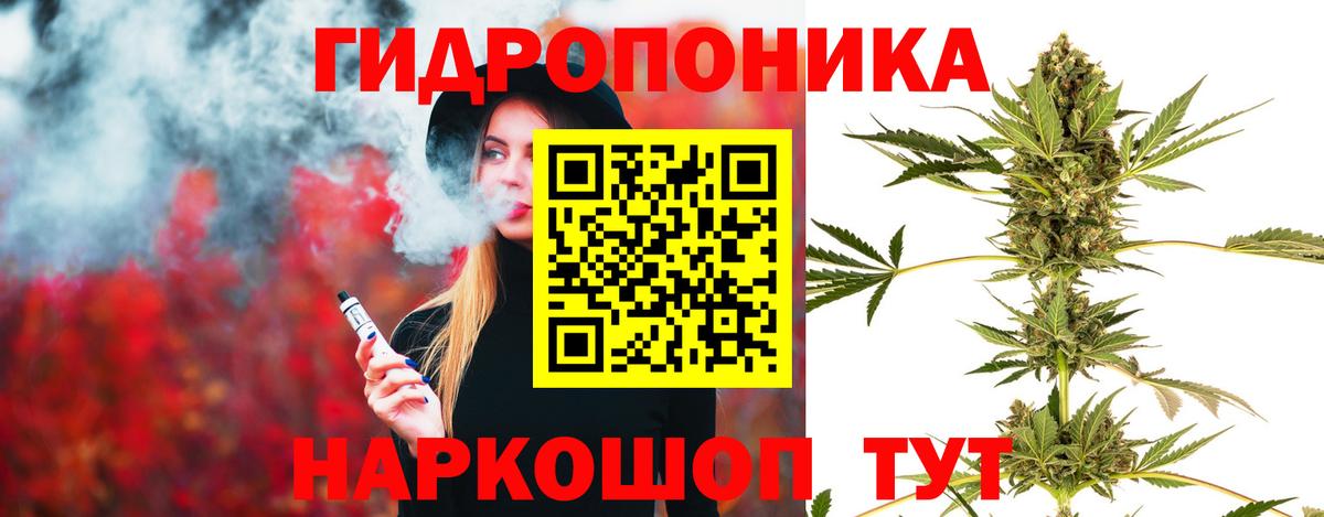 Кировск  Каннабис план  Шишки марихуана White Widow  Каннабис SATIVA & INDICA  Вход с VPN 